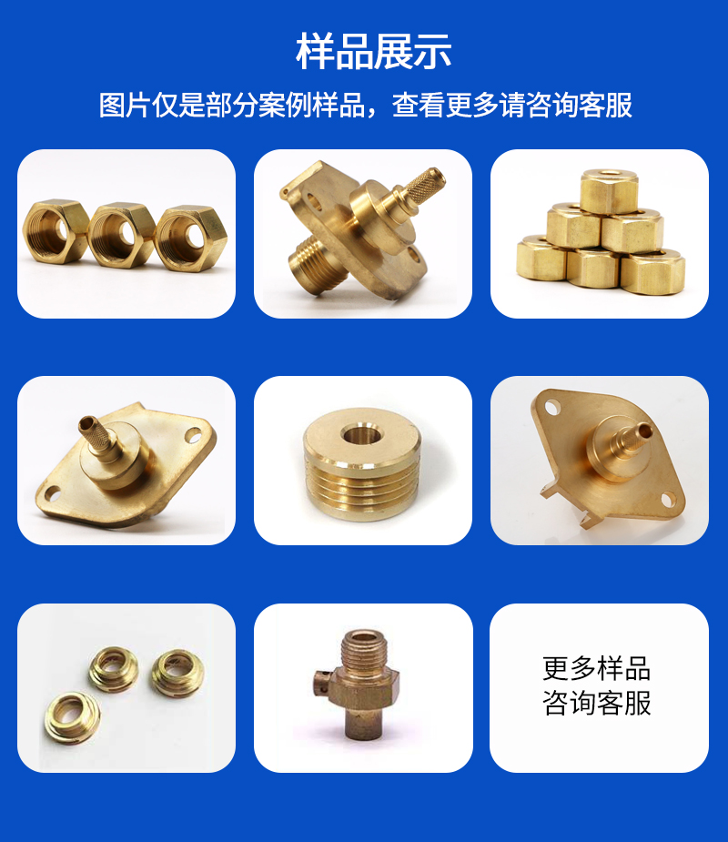 非标紧固铜件_06